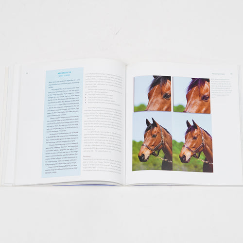 Bok "Photographing & Videoing Horses" | Charles Mann