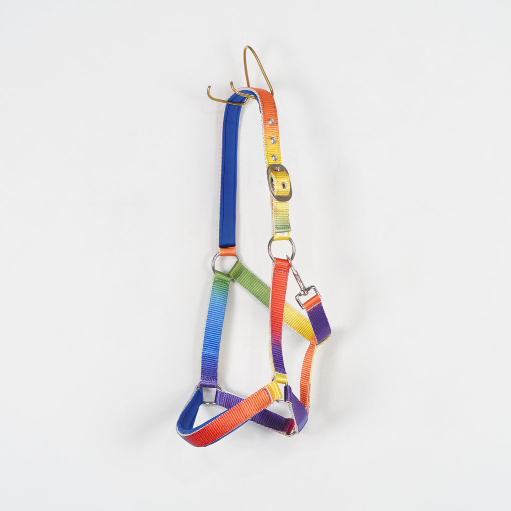 Grimma Rainbow | Cob