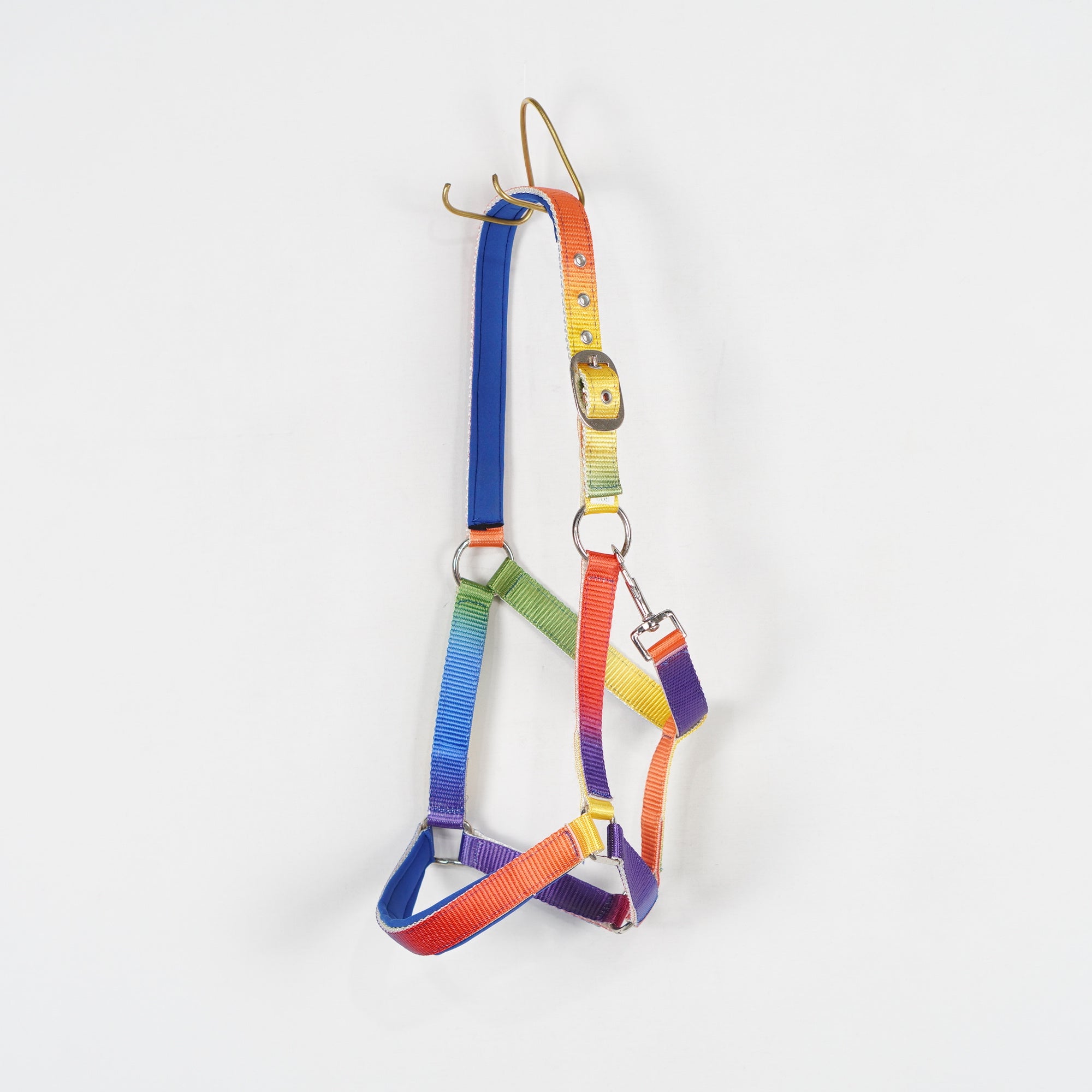 Grimma Rainbow | Cob