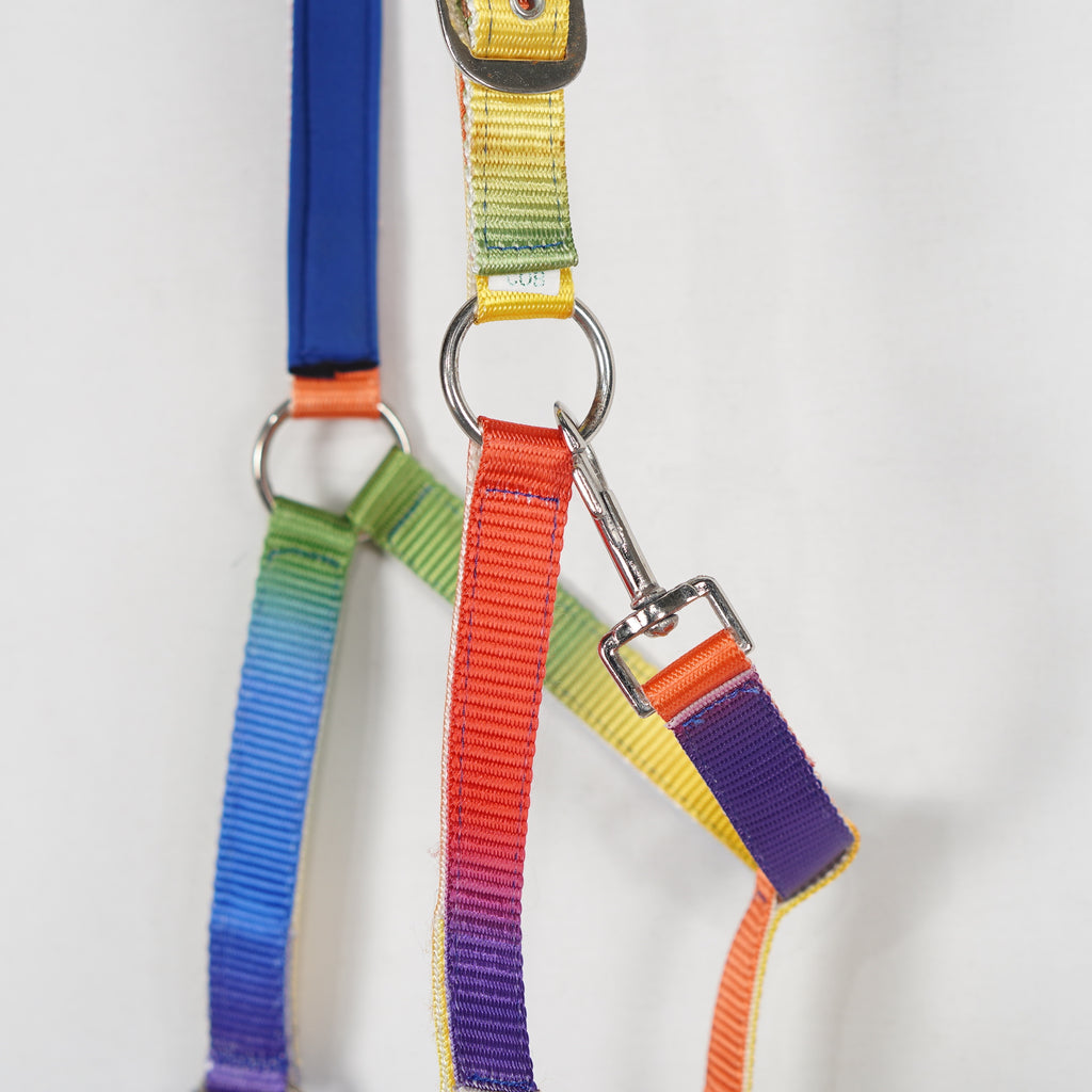 Grimma Rainbow | Cob