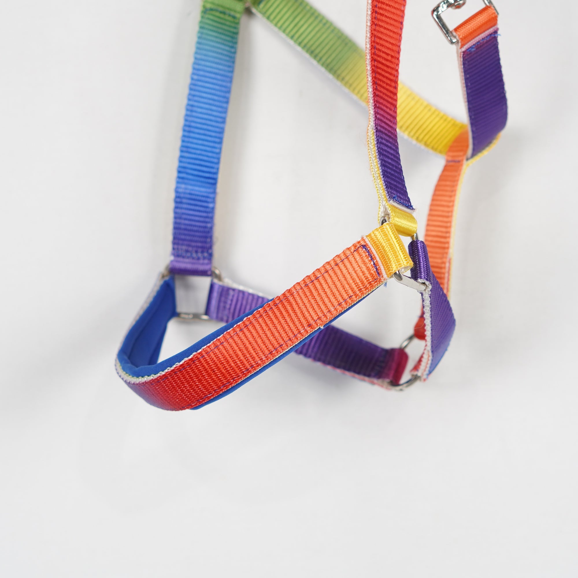 Grimma Rainbow | Cob