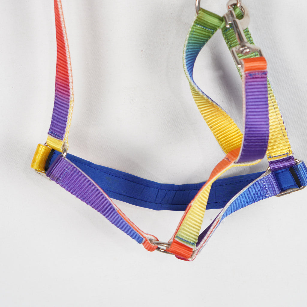 Grimma Rainbow | Cob