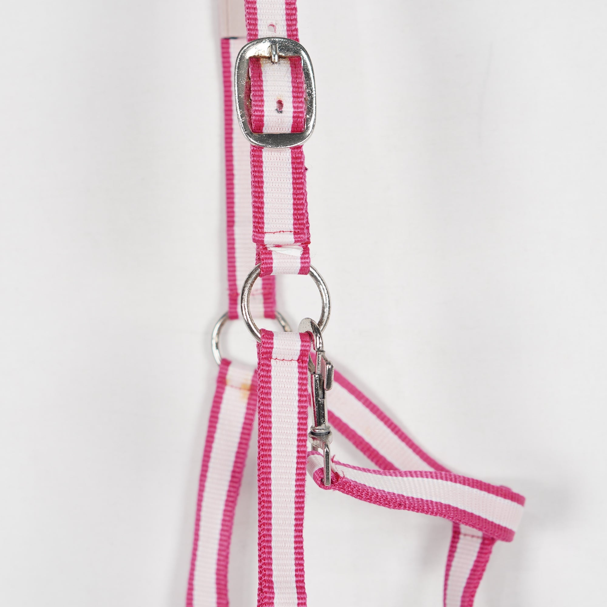 Grimma Pink Polka | Cob