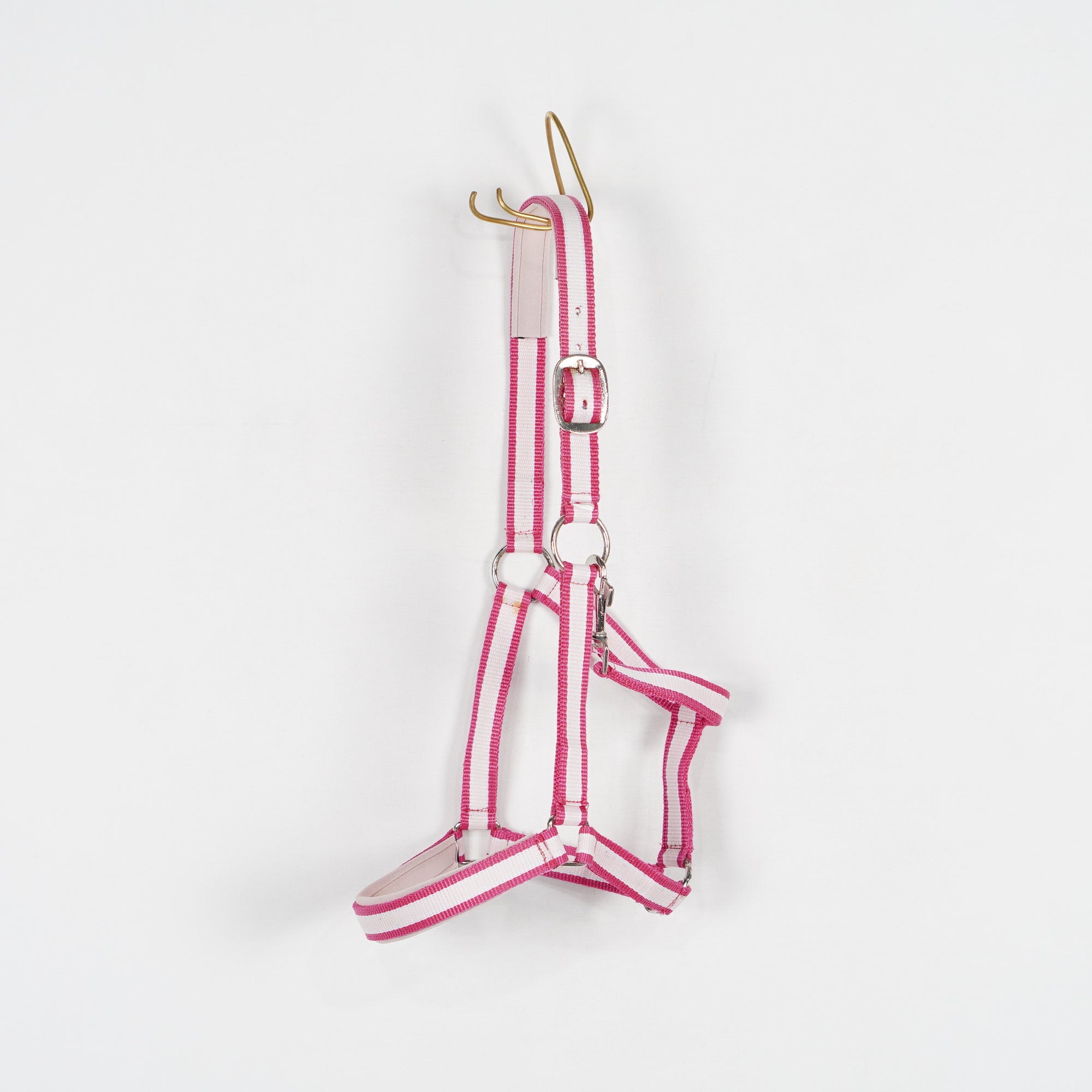 Grimma Pink Polka | Cob