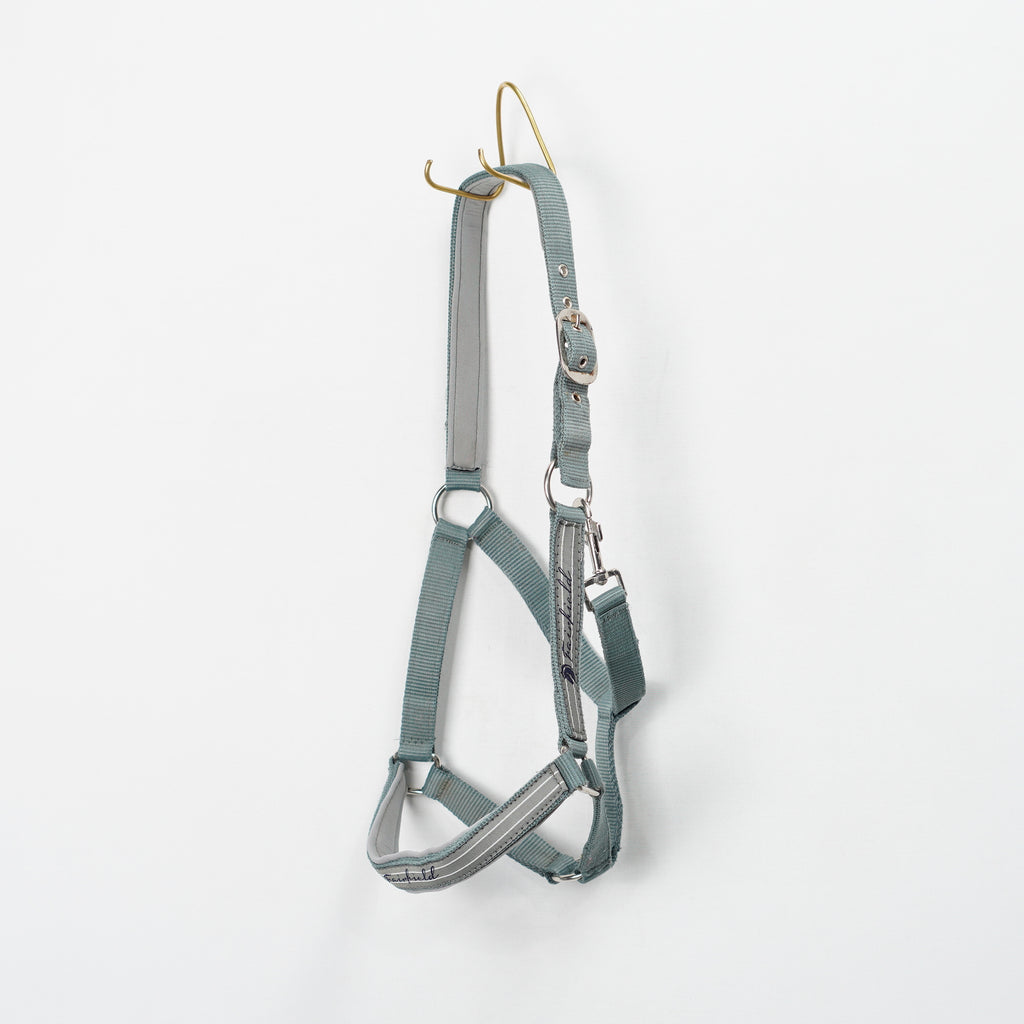 Grimma | Cob
