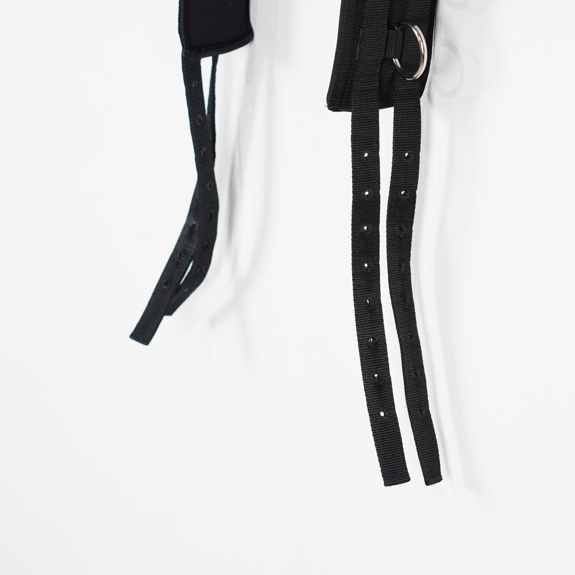 Longeringsgjord | Cob