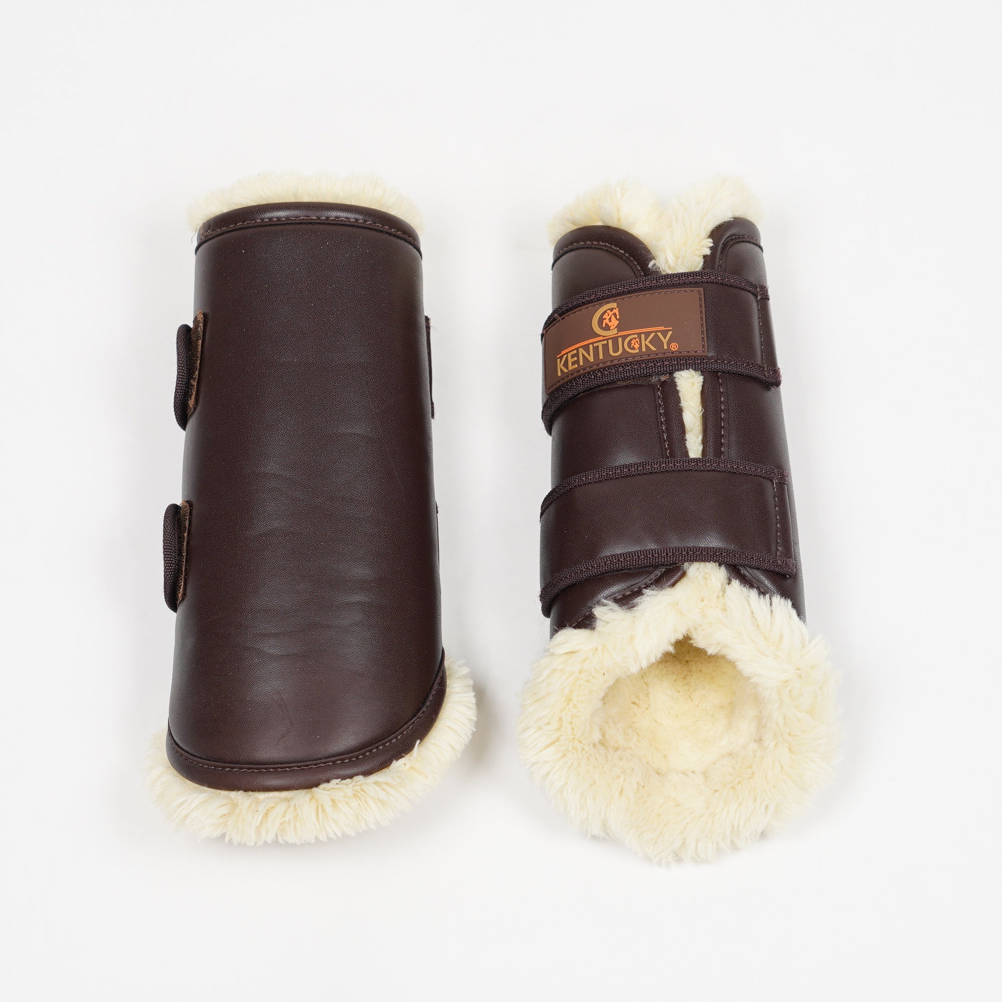 Bakskydd Teddy | Full