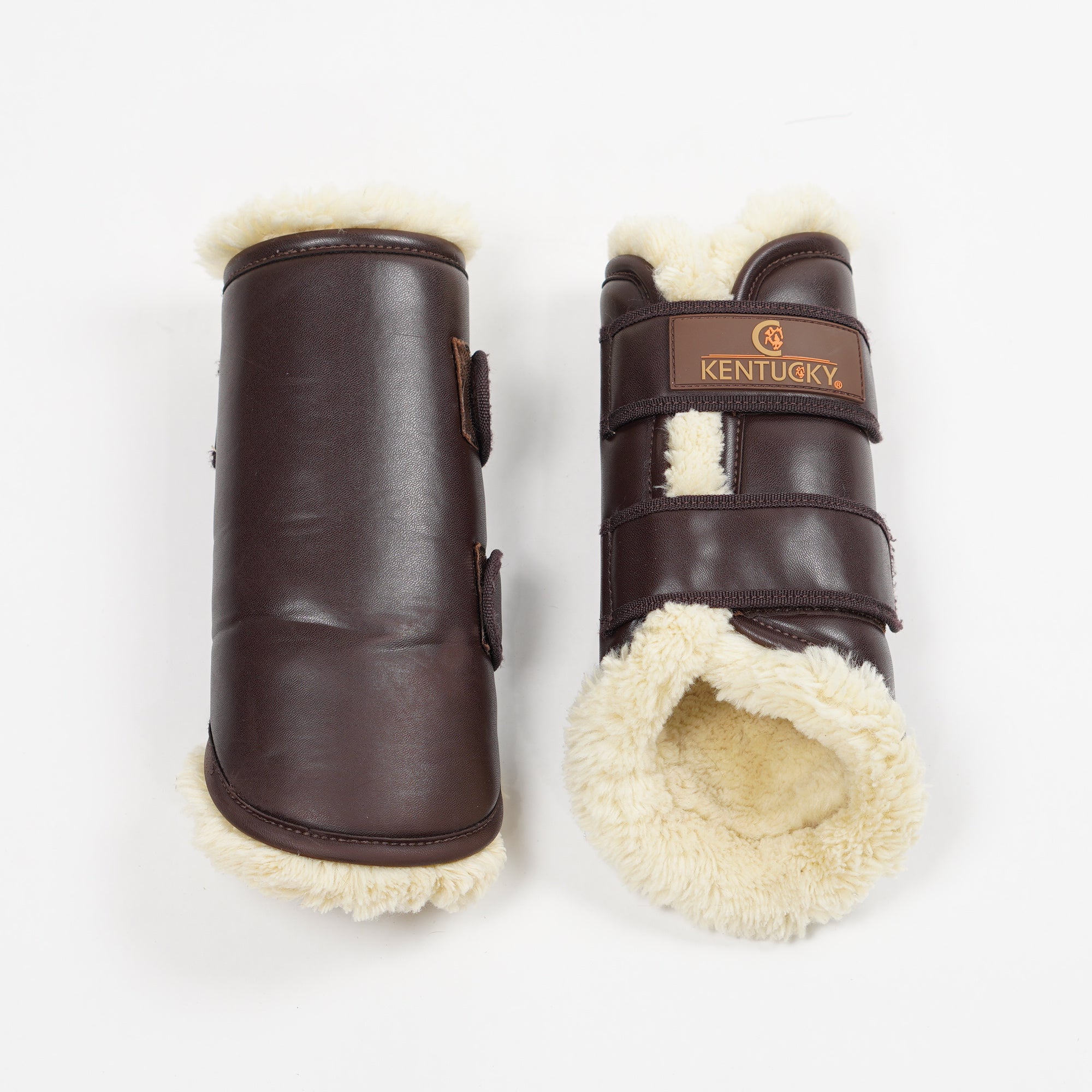 Bakskydd Teddy | Full