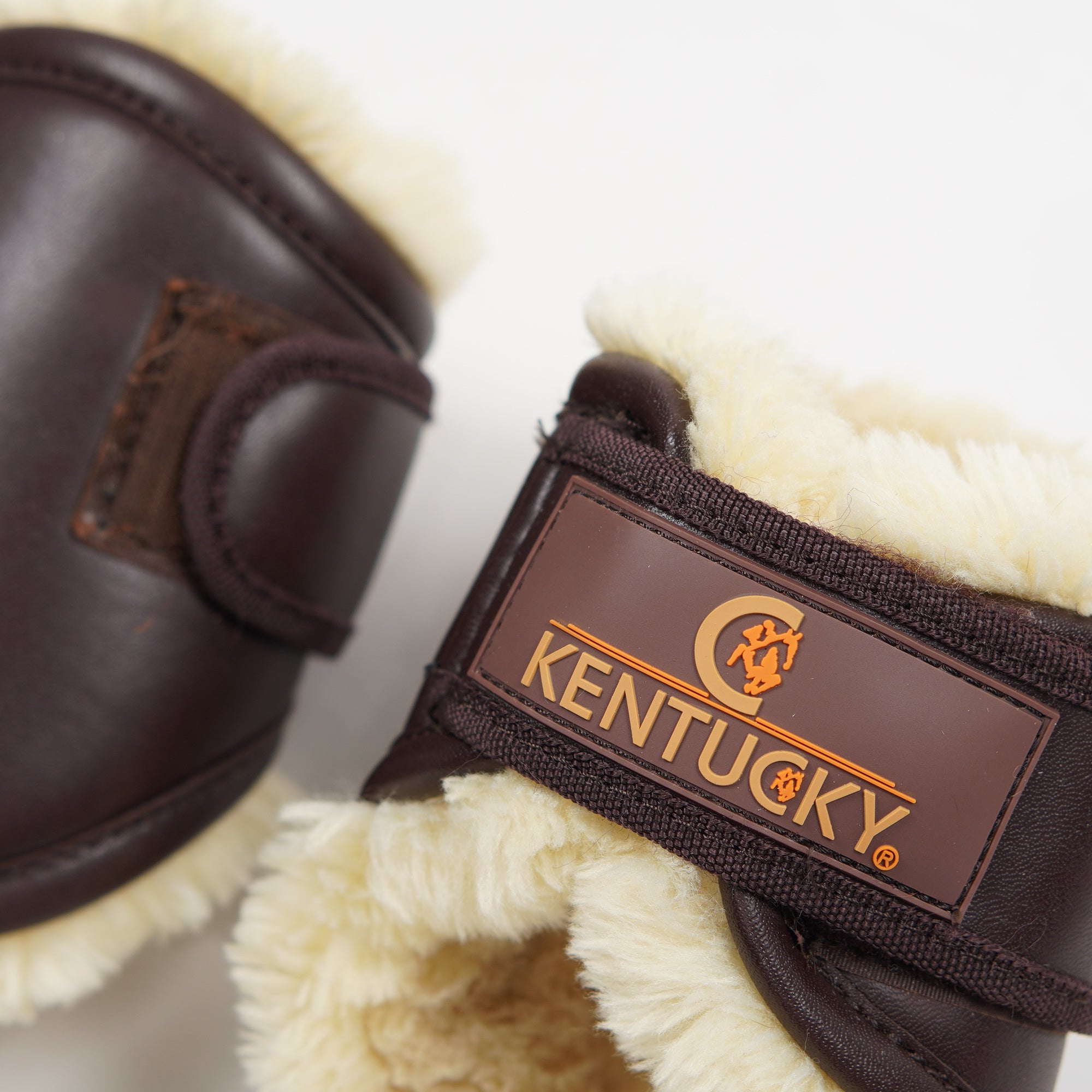 Bakskydd Teddy Short | Full