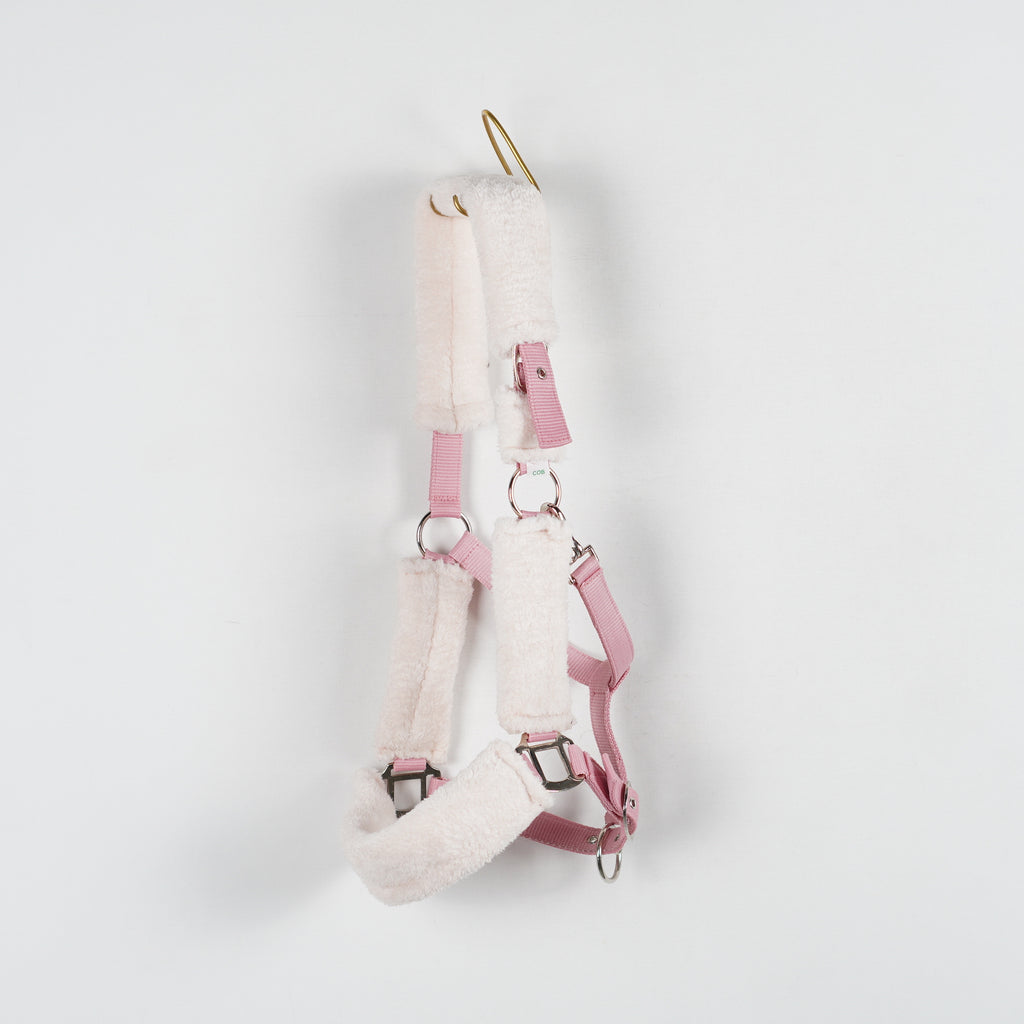 Grimma Teddy | Cob