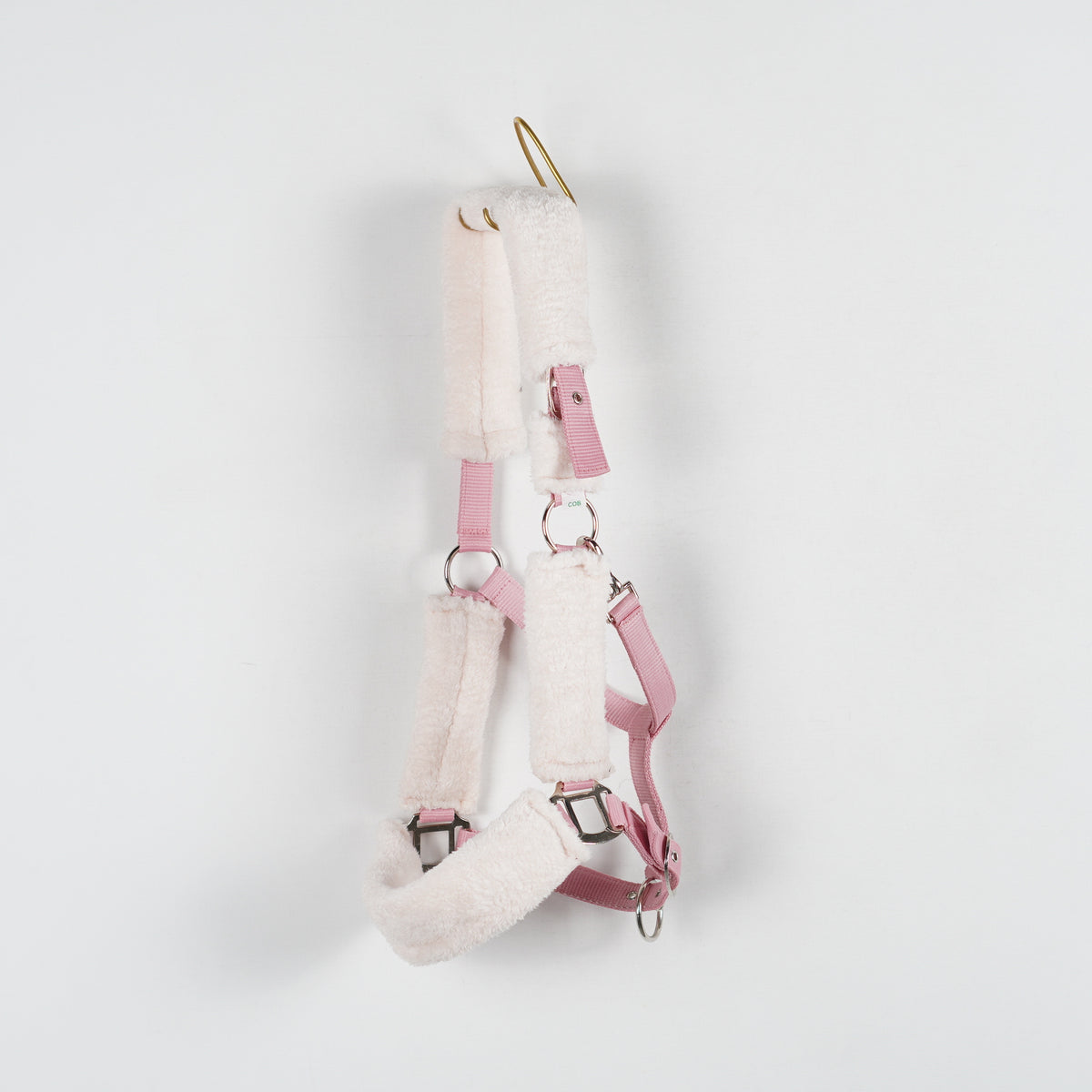 Grimma Teddy | Cob