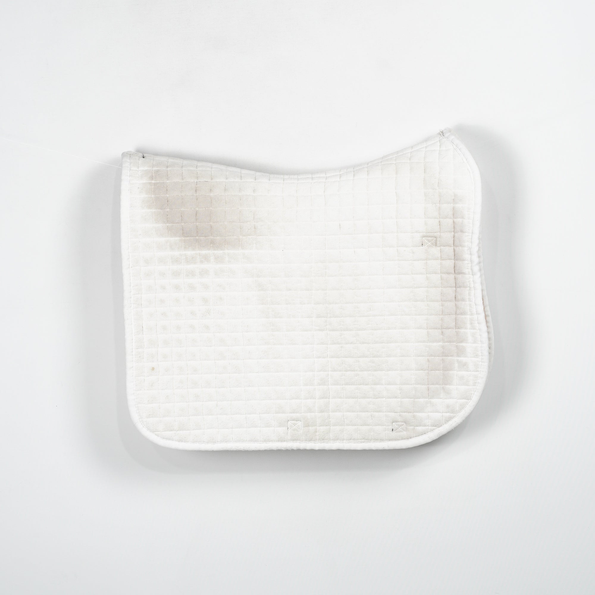 Dressyrschabrak | Full - Equiline - Dressyrschabrak - Equipement