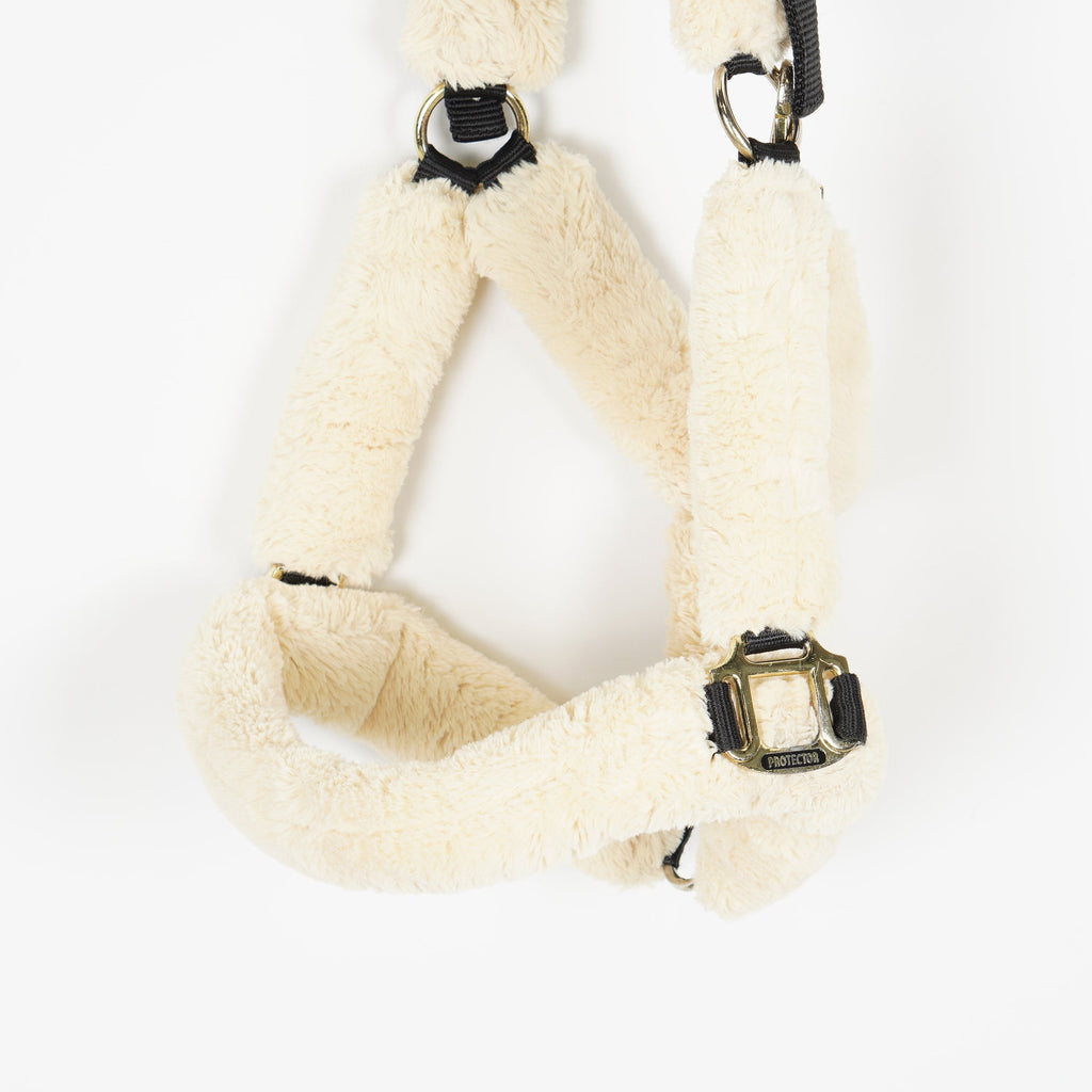 Grimma Teddy | X - Full - Protector - Grimmor - Equipement