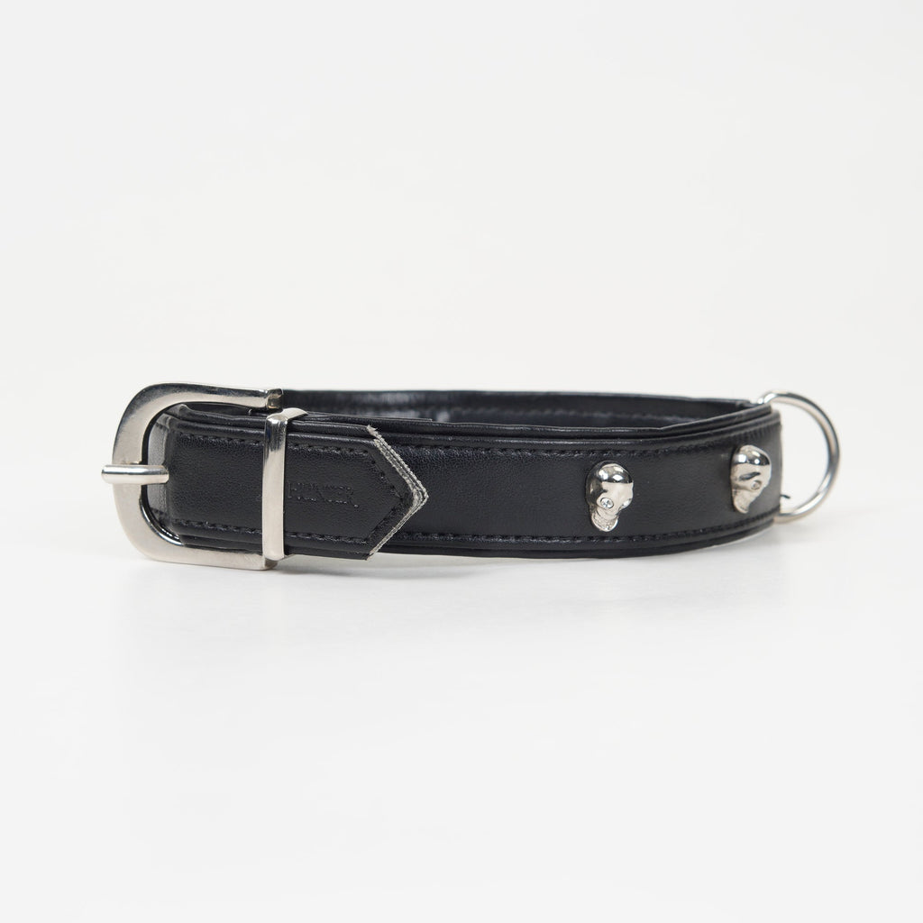 Hundkoppel | 180 - Hunter - Hund - Equipement