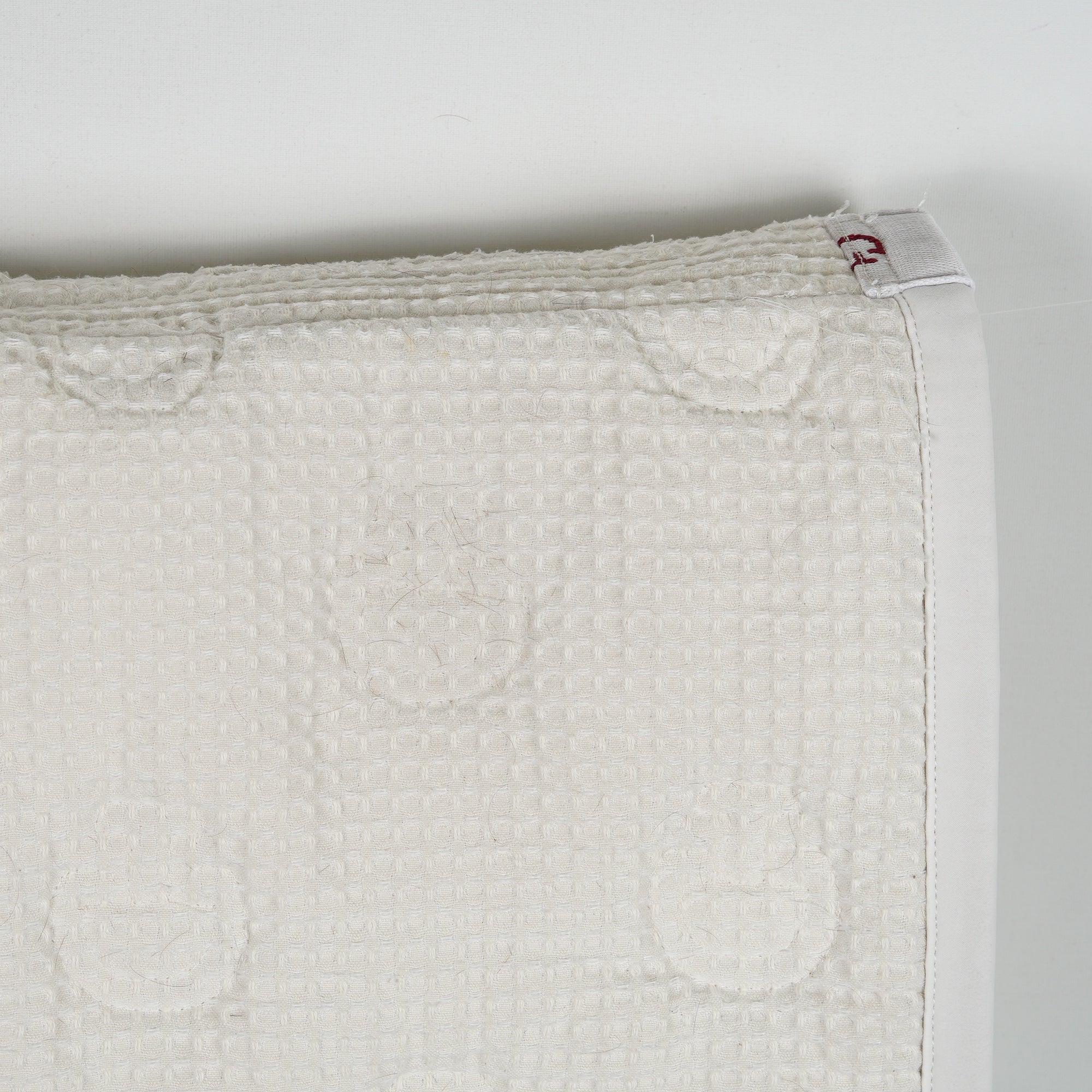 Schabrak Allround | Ponny - Cavalleria Toscana - Allroundschabrak - Equipement