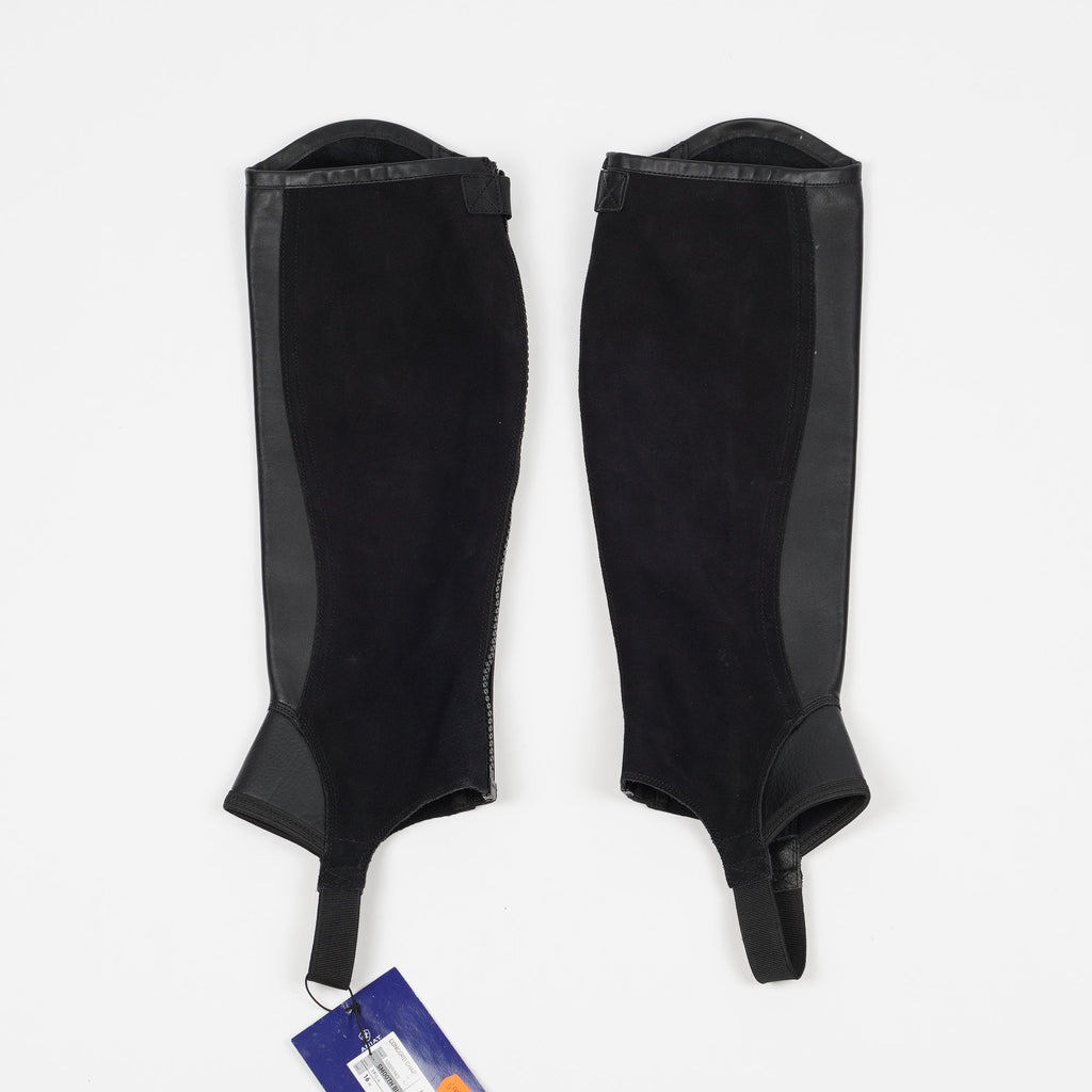Shortchaps Concord | LT - Ariat - Shortchaps - Equipement