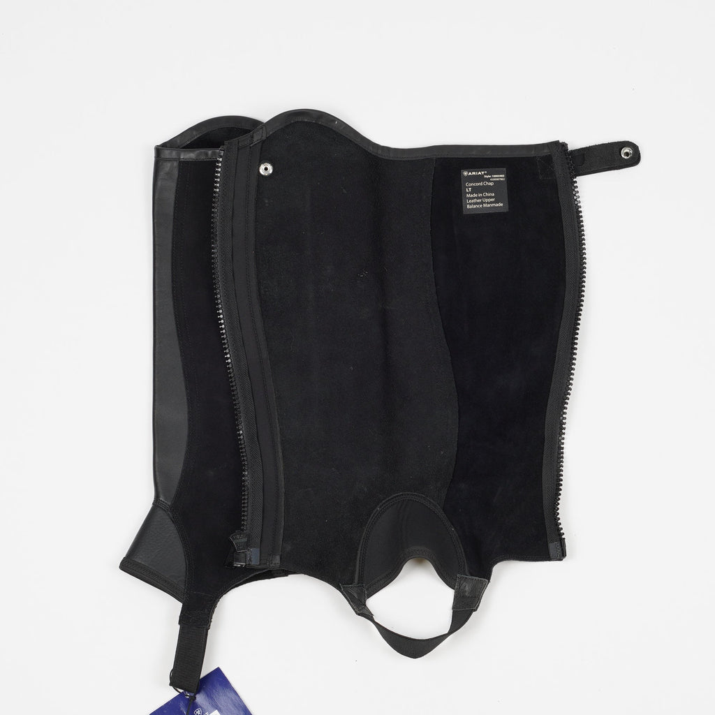 Shortchaps Concord | LT - Ariat - Shortchaps - Equipement
