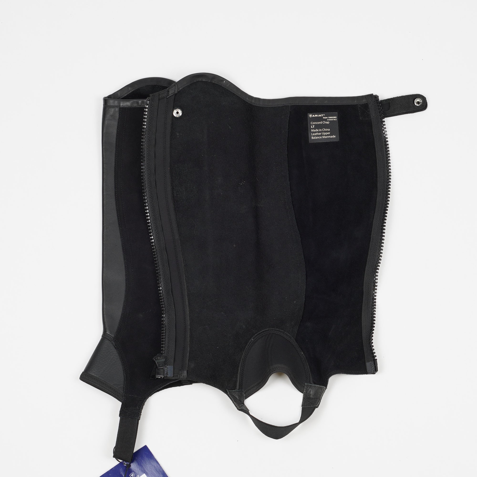 Shortchaps Concord | LT - Ariat - Shortchaps - Equipement