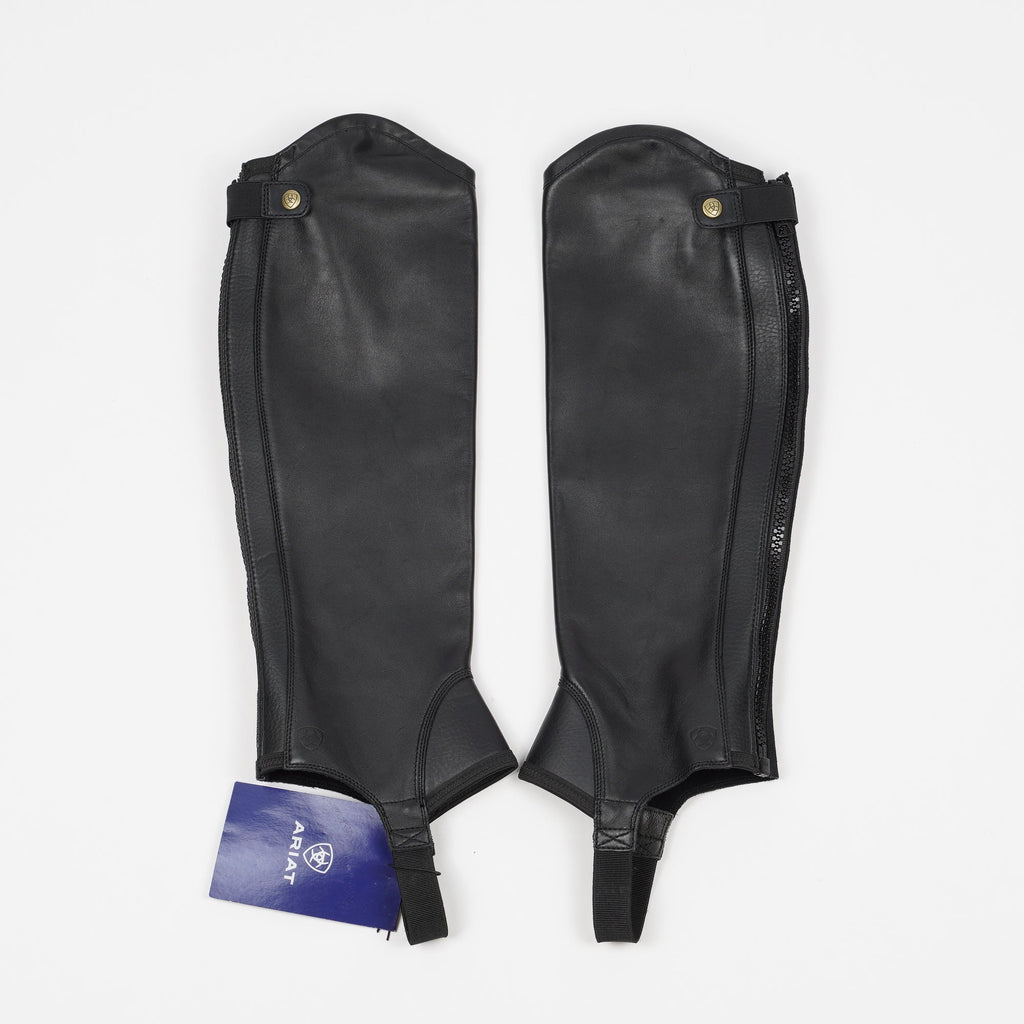 Shortchaps Concord | LT - Ariat - Shortchaps - Equipement