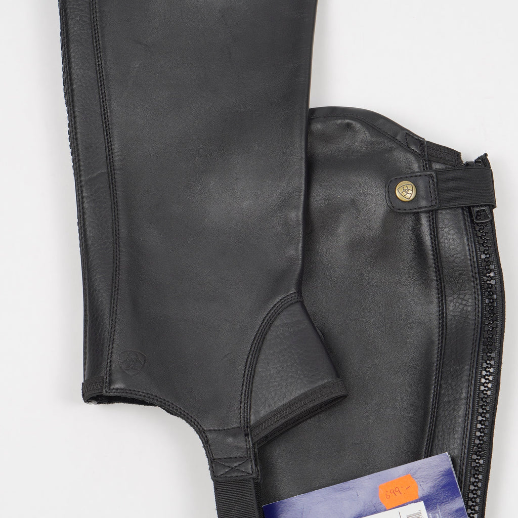 Shortchaps Concord | LT - Ariat - Shortchaps - Equipement