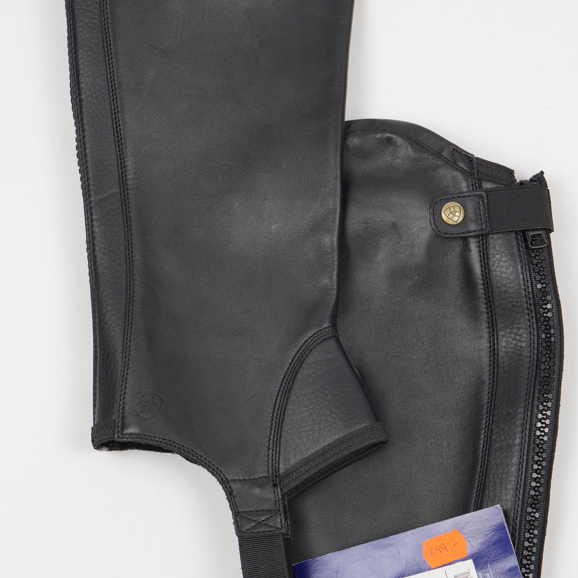 Shortchaps Concord | LT - Ariat - Shortchaps - Equipement