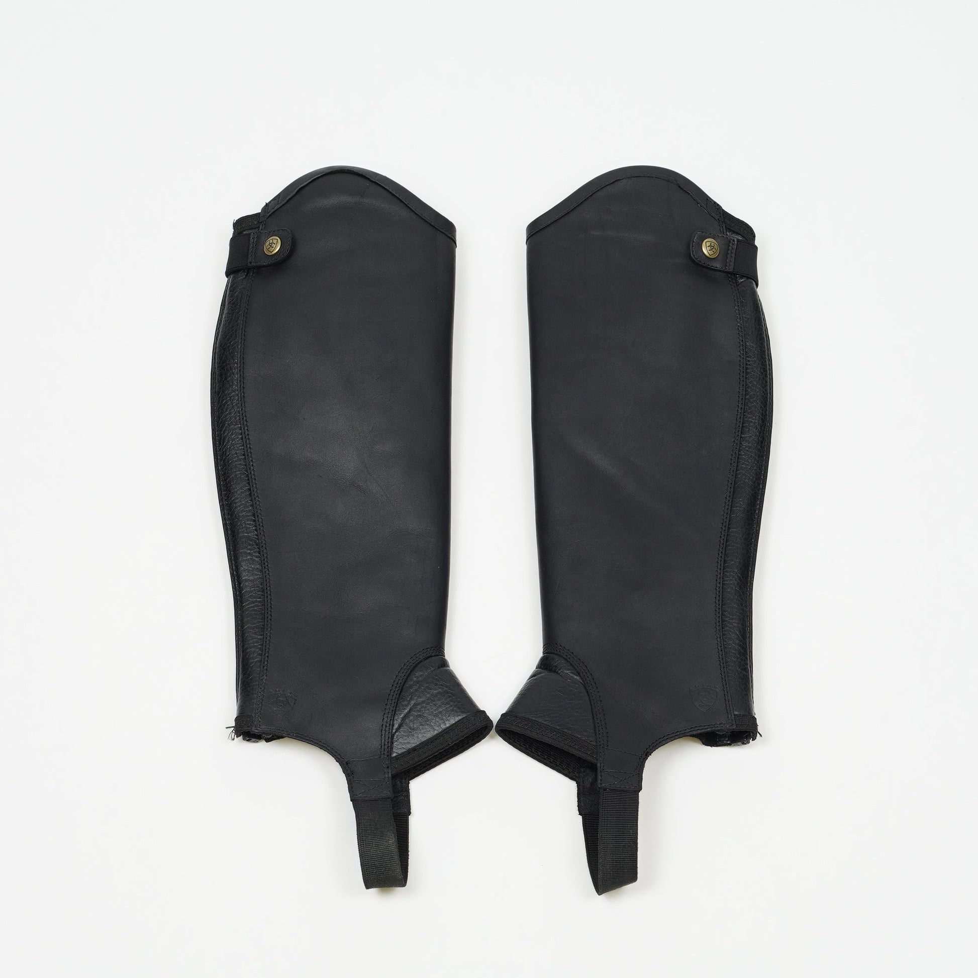 Shortchaps Concord | MS - Ariat - Shortchaps - Equipement