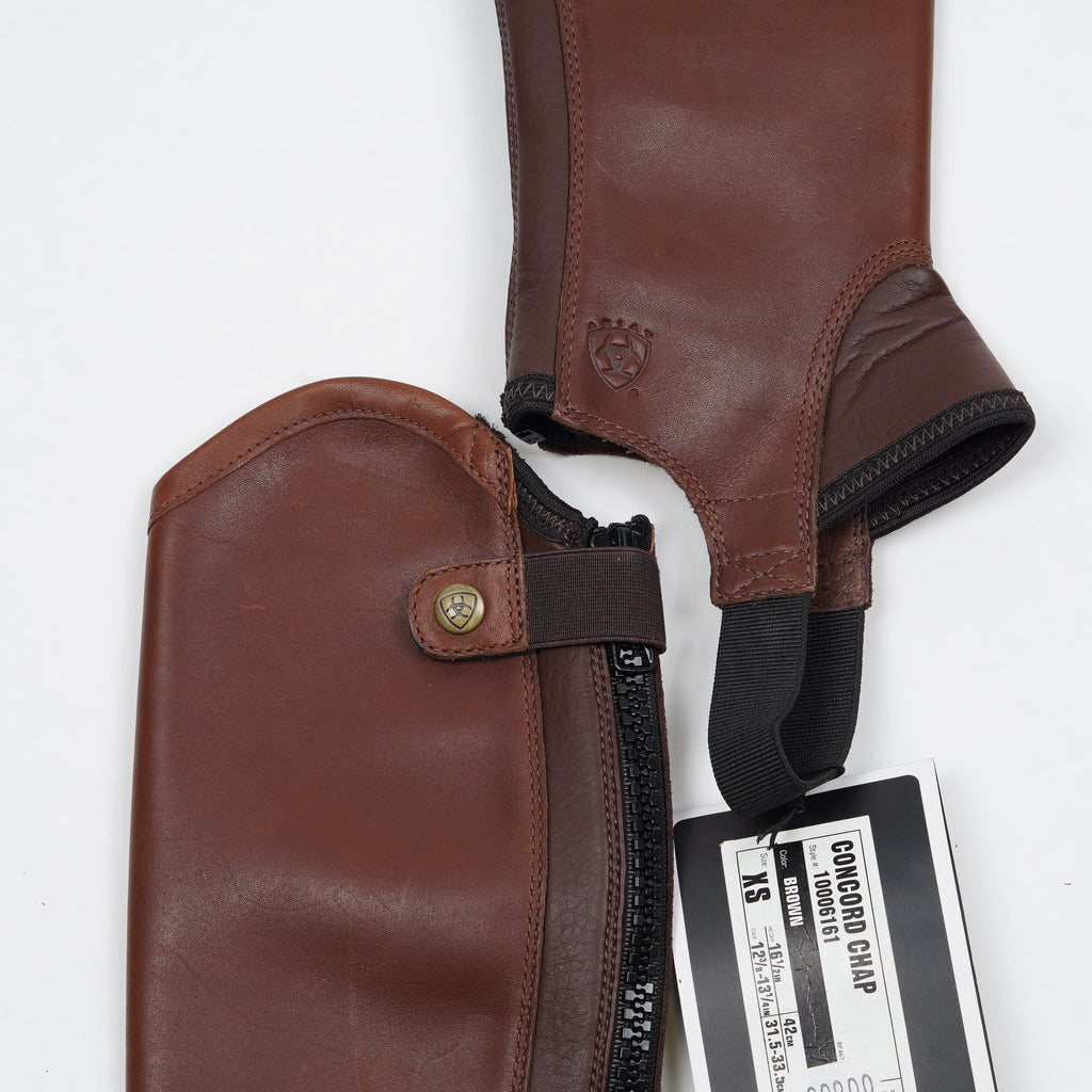Shortchaps Concord | XS - Ariat - Shortchaps - Equipement