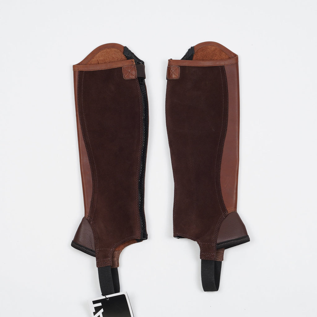 Shortchaps Concord | XS - Ariat - Shortchaps - Equipement