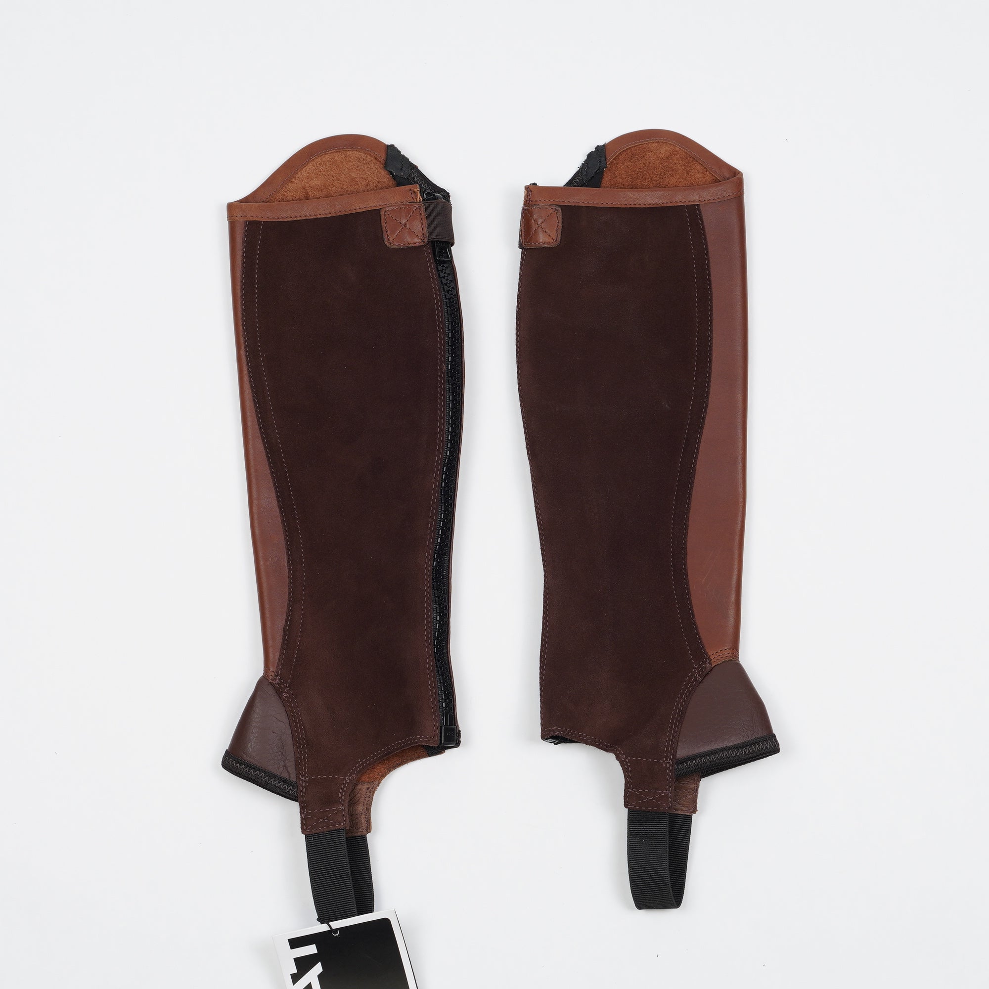 Shortchaps Concord | XS - Ariat - Shortchaps - Equipement