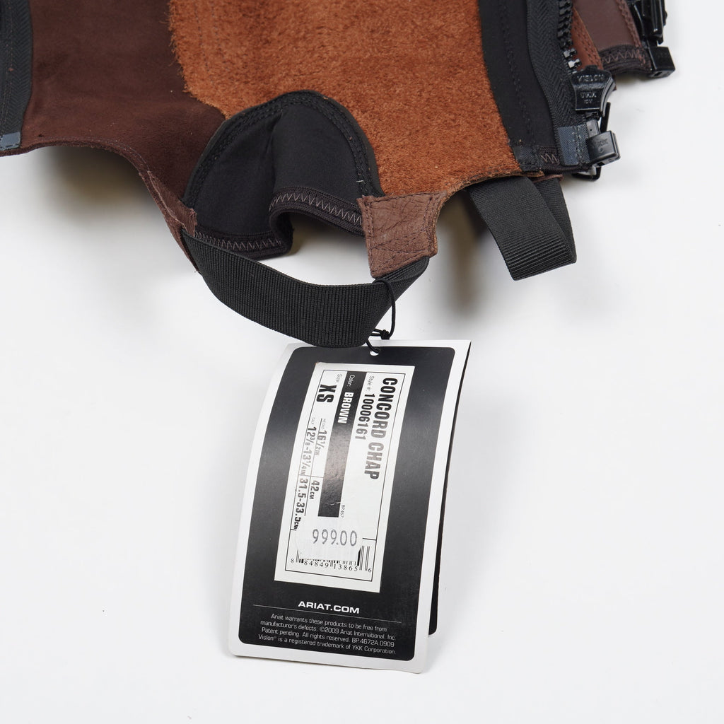Shortchaps Concord | XS - Ariat - Shortchaps - Equipement